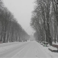 Аренда квартиры посуточно в Харькове - выгодно и практично